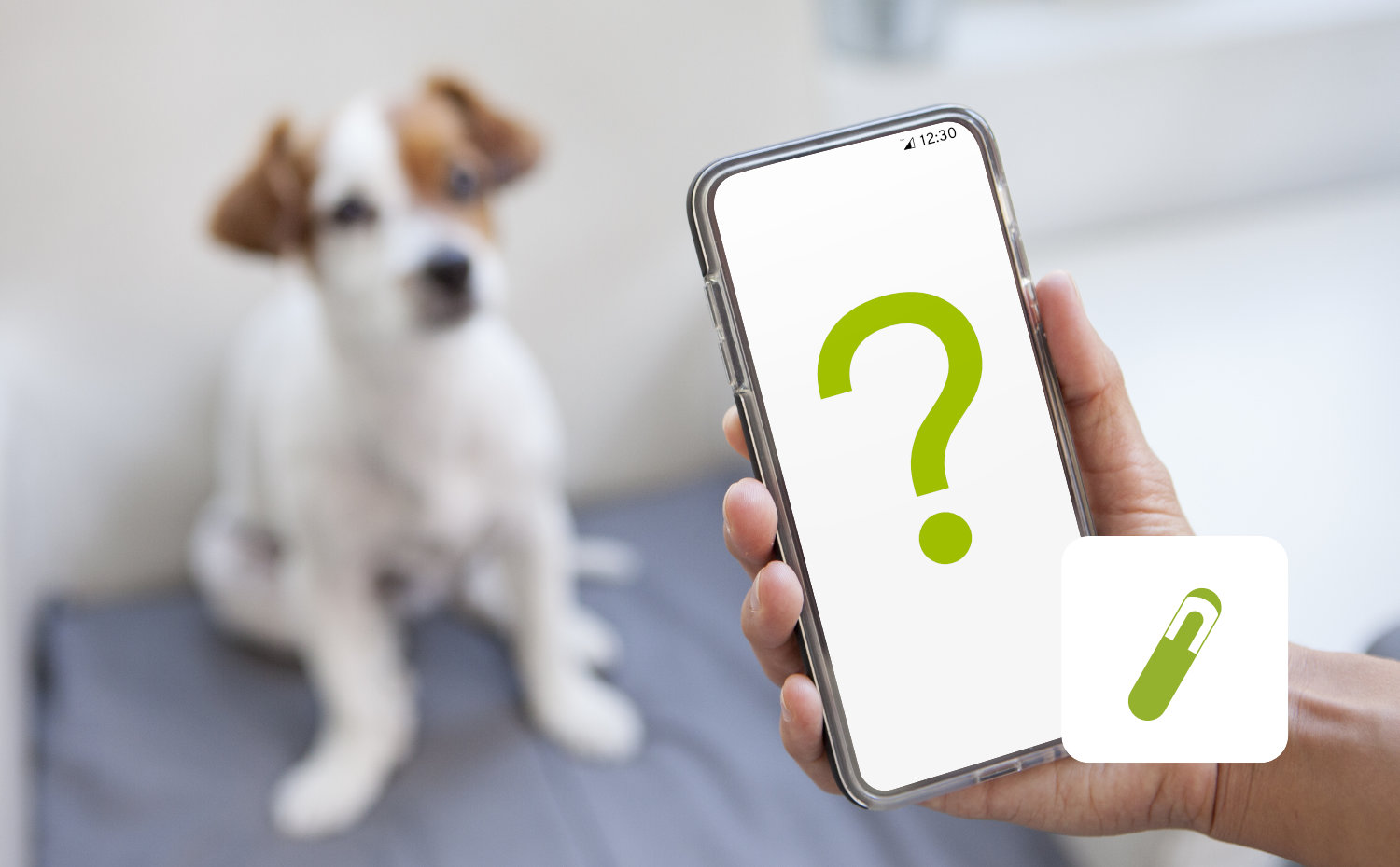 Scanning the dog's chip with the smartphone - possible or not? |
