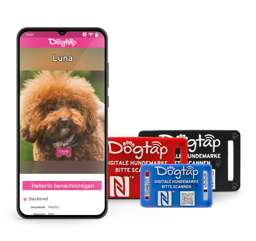 Dogtap the digital dog tag |