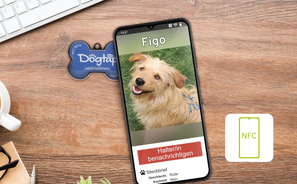 Smartphone mit digitaler Hundemarke Dogtap auf einem Tisch