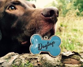 Dog Dogtap