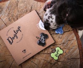 Dog Dogtap