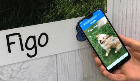 Dogtap - The digital dog tag
