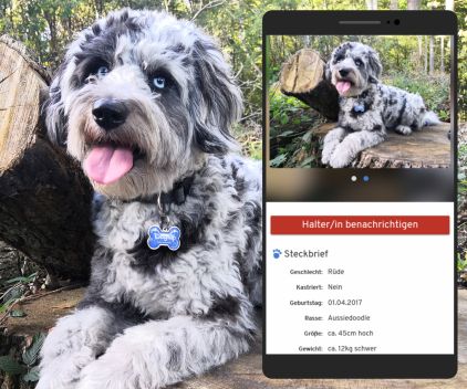 Dogtap - the improved address tag for dogs