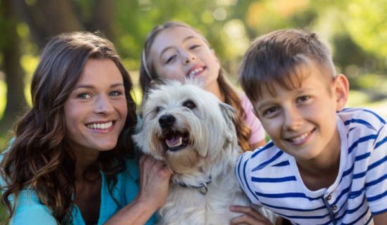 Glückliche Familie mit Hund