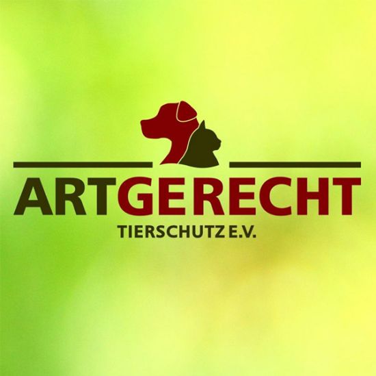 Partners - Affiliates