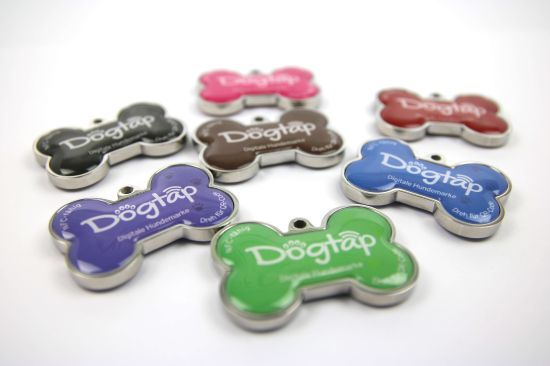 Dogtap - hübscher Adressanhänger für das Hundehalsband