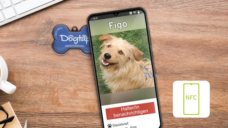 Smartphone mit digitaler Hundemarke Dogtap auf einem Tisch
